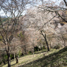 P3290028