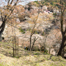 P3290037