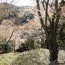 P3290038