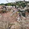 P3290040