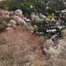 P3290042