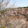 P3290043