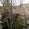P3290050