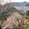 P3290065