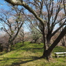 P3290068