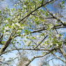 P3290057