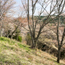 P3290063