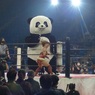 たぶんこの年