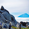 風化された花崗岩が点在する薬師岳(2780m)に到着