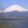 湖畔の富士山