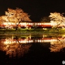 小湊鉄道　飯給駅　一般的な夜桜ライトアップ！