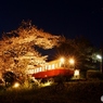 小湊鉄道　飯給駅　もう一つの夜桜撮影②（完）