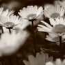 bygone