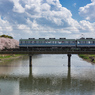 電車と桜と雲と