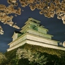 桜とお城