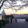さくら公園８：帰りまーす！