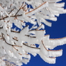 雲仙　樹氷