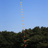 「cool」青空〜　高く上がる・ダイヤ連凧