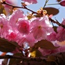 4月の光射す