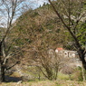 P3300002