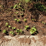 P3300009