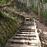 P3300012