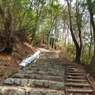 P3300016