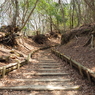 P3300022
