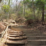 P3300023