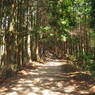 P3300026