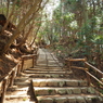 P3300029