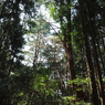 P3300030