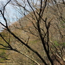 P3300031