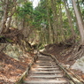 P3300033