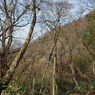 P3300037