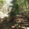 P3300038