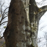 P3300051