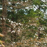 P3300052