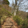 P3300053