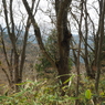 P3300054