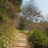 P3300055