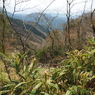 P3300060