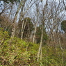 P3300061