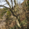 P3300065