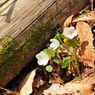 P3300093