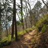 P3300101