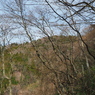 P3300041
