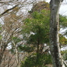 P3300043