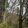 P3300044