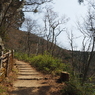 P3300045